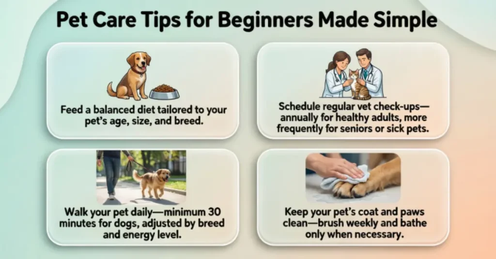 pet care tips for beginners made simple