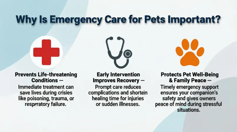 why is emergency care for pets important